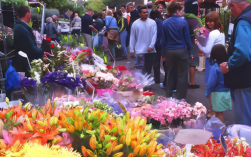 Photo of colourful flowers for sale at a local market